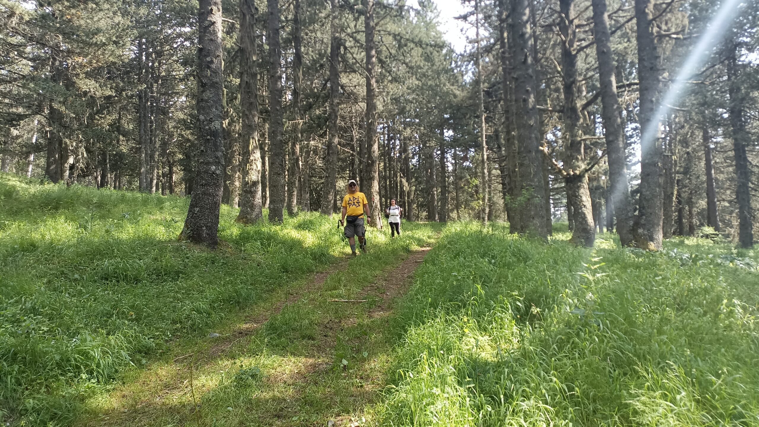 Πεζοπορία στον Σμόλικα με τους Trekkers