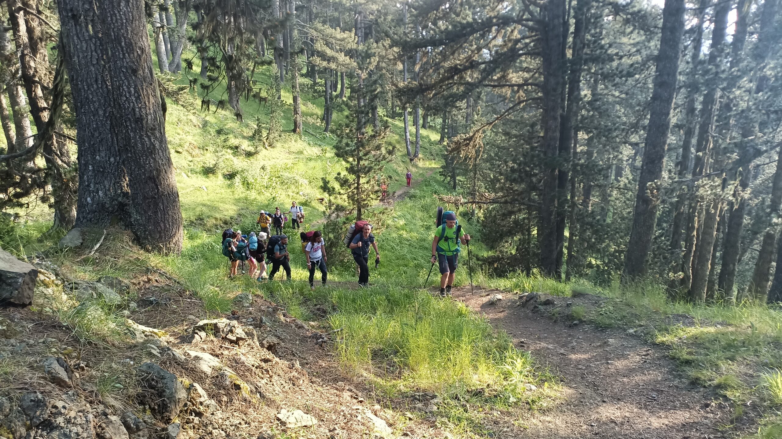 Ορειβατική εξόρμηση στον Σμόλικα – Trekkers