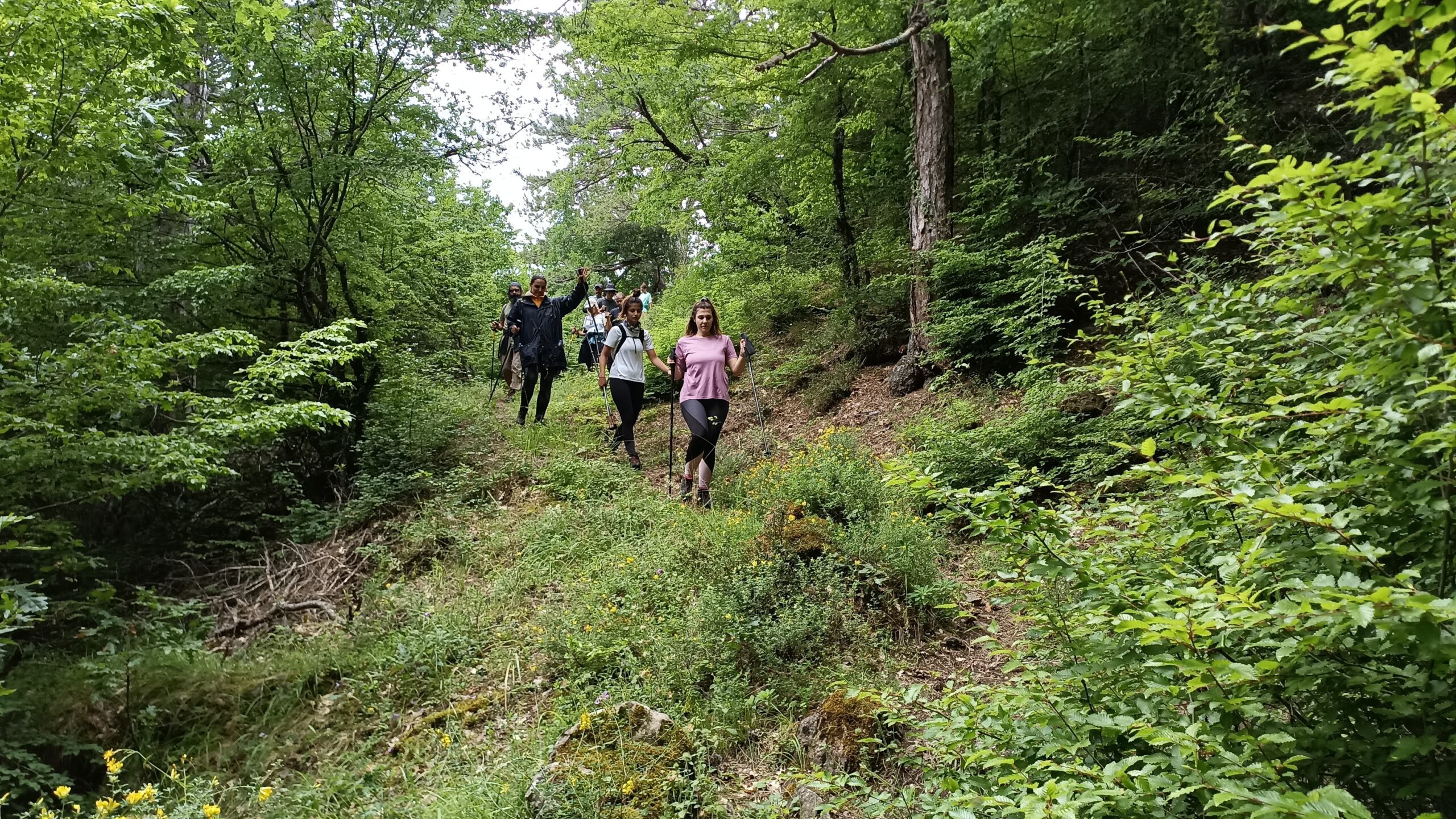 Ορεινή διαδρομή στον Σμόλικα – Trekkers