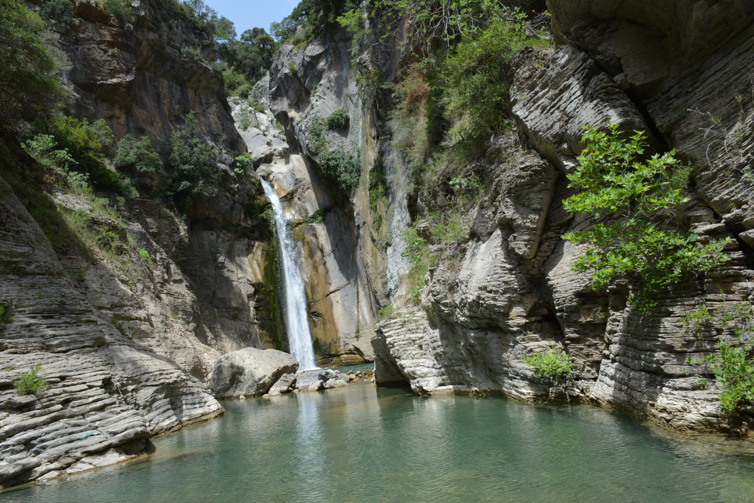 H PROTH FOTO 30-07-15