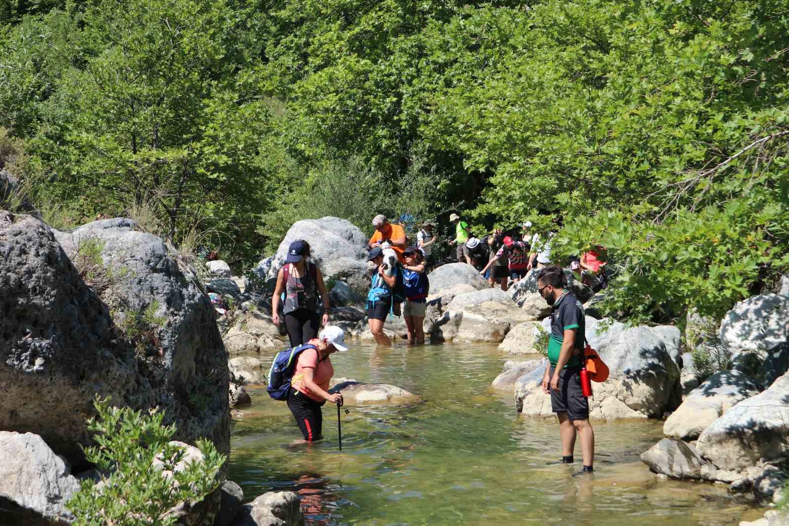 IMG-08fbecd52cc64a9d390ba96ee3342e1b-V