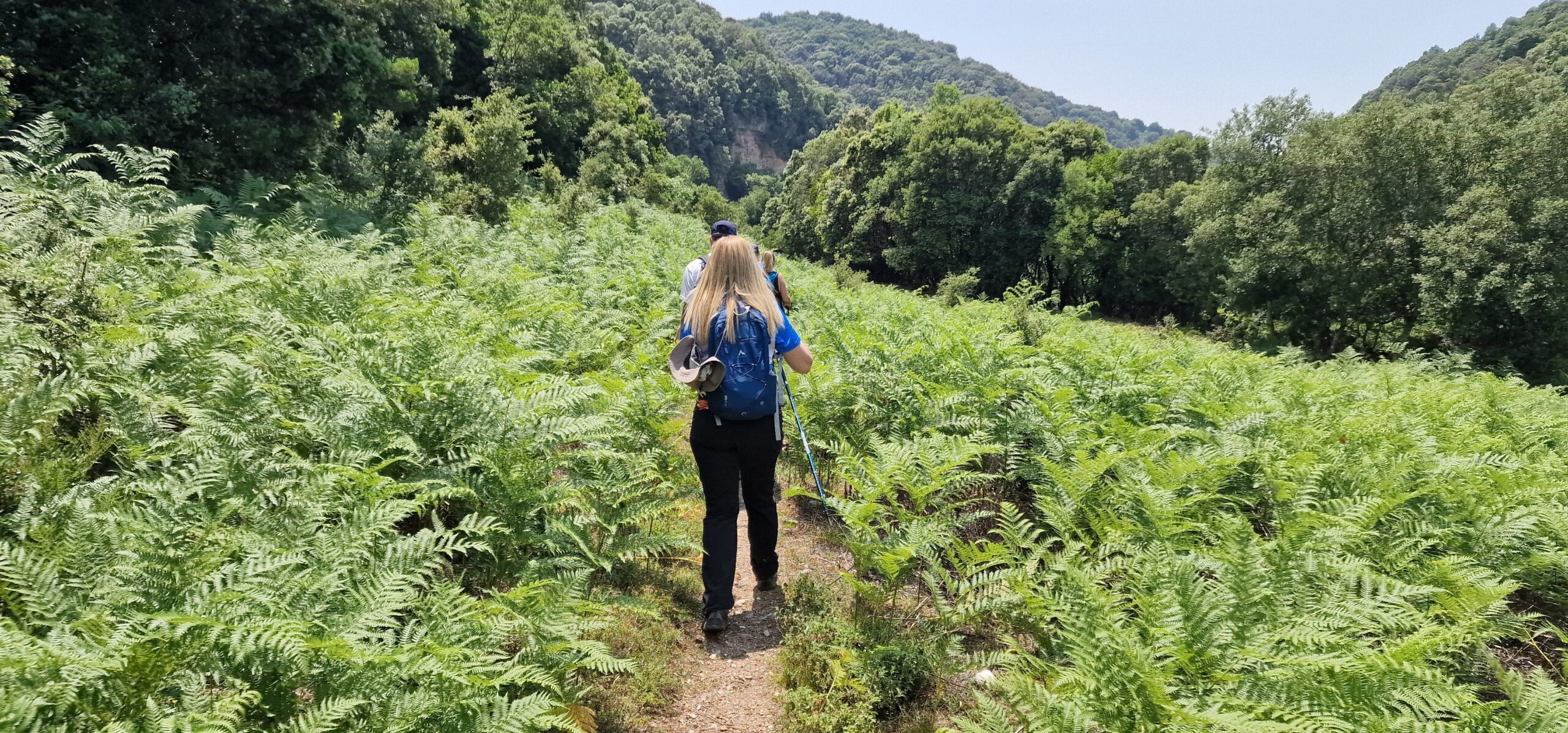 Trekkers σε εκδρομή στο βουνό