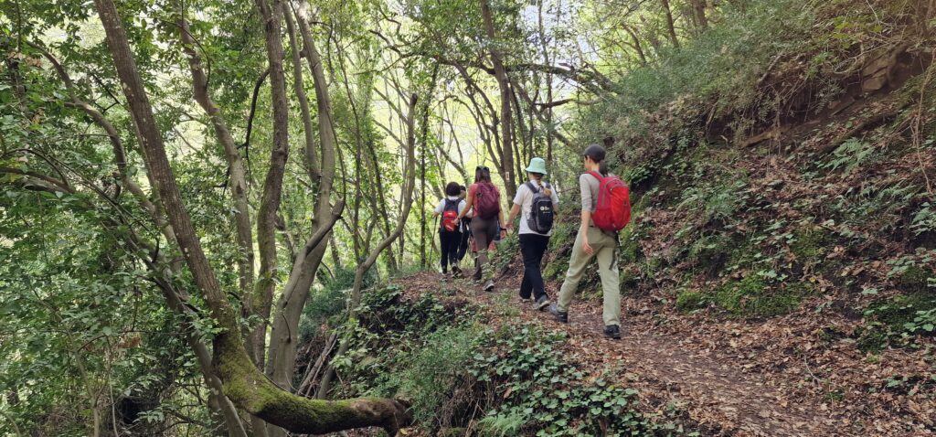 πεζοπορία στο Μαίναλο - Φαράγγι Λούσιου – ομάδα Trekkers στη φύση