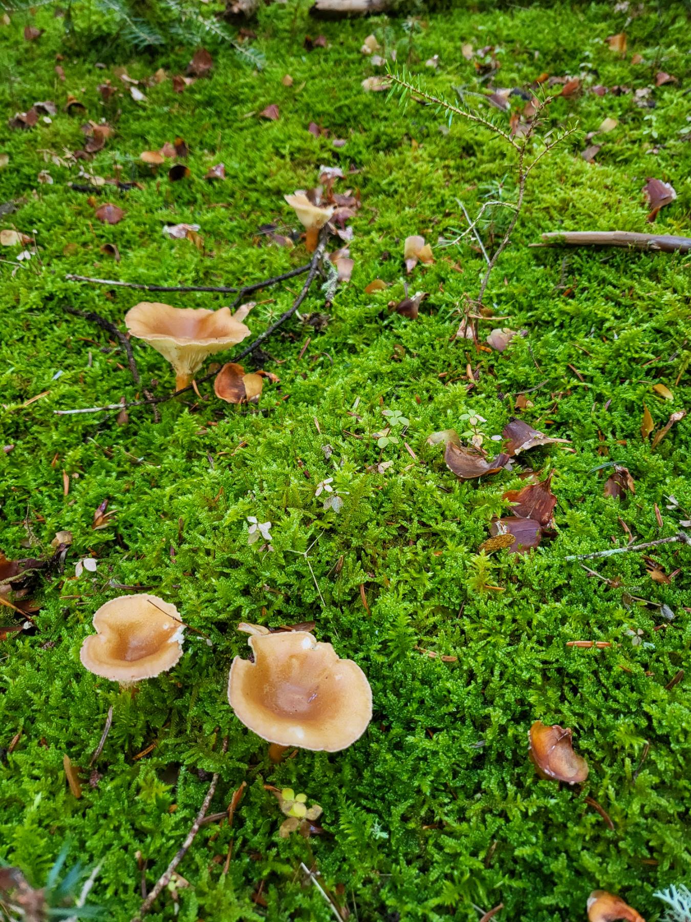 IMG-30a9952236a23cb0459ca474a06dda47-V