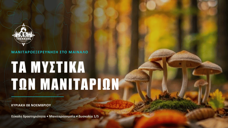 Trekkers_Cover_Facebook_1920x1005_Μανιτάρια_Μαίναλο1