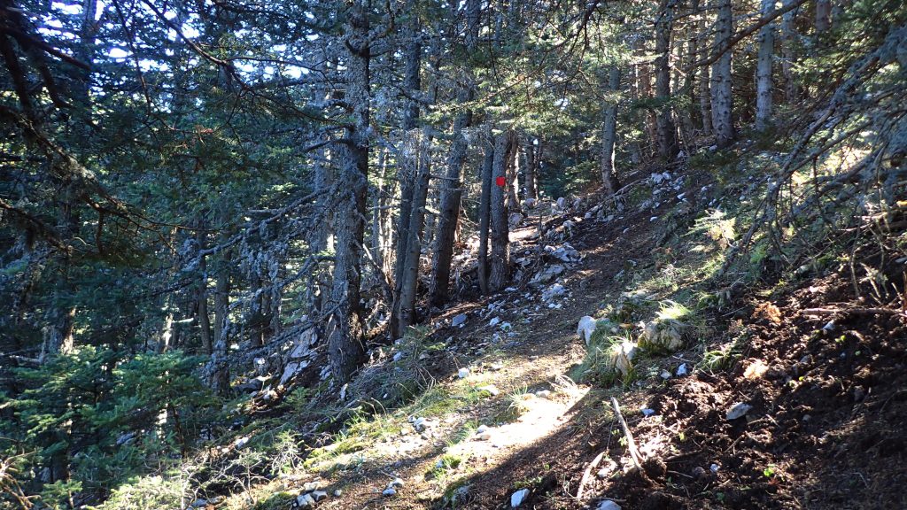 Keywords: ALL;HIKING;MAINALO