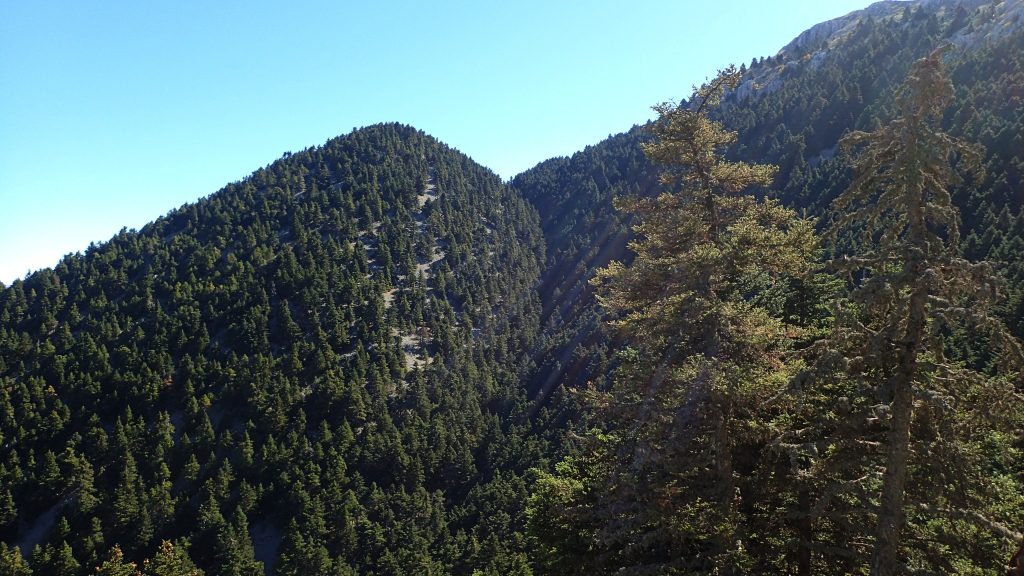 Keywords: ALL;HIKING;MAINALO