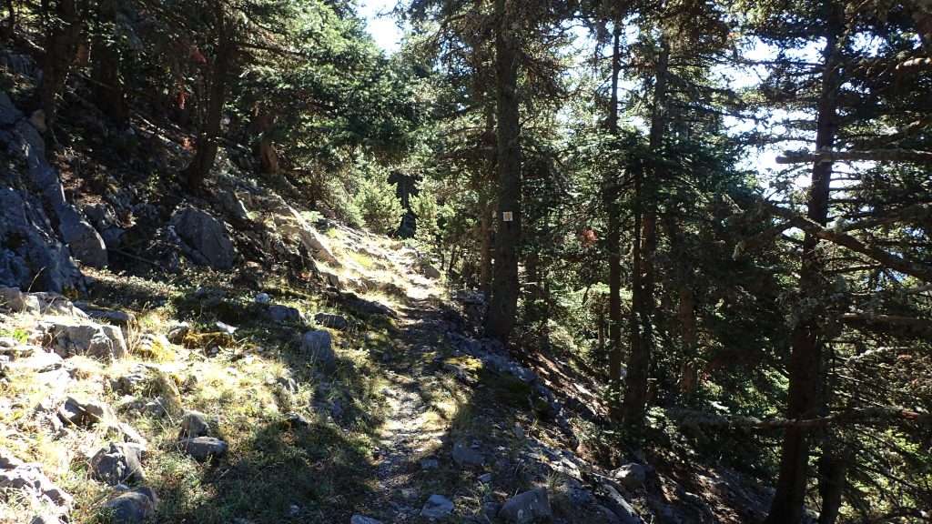 Keywords: ALL;HIKING;MAINALO