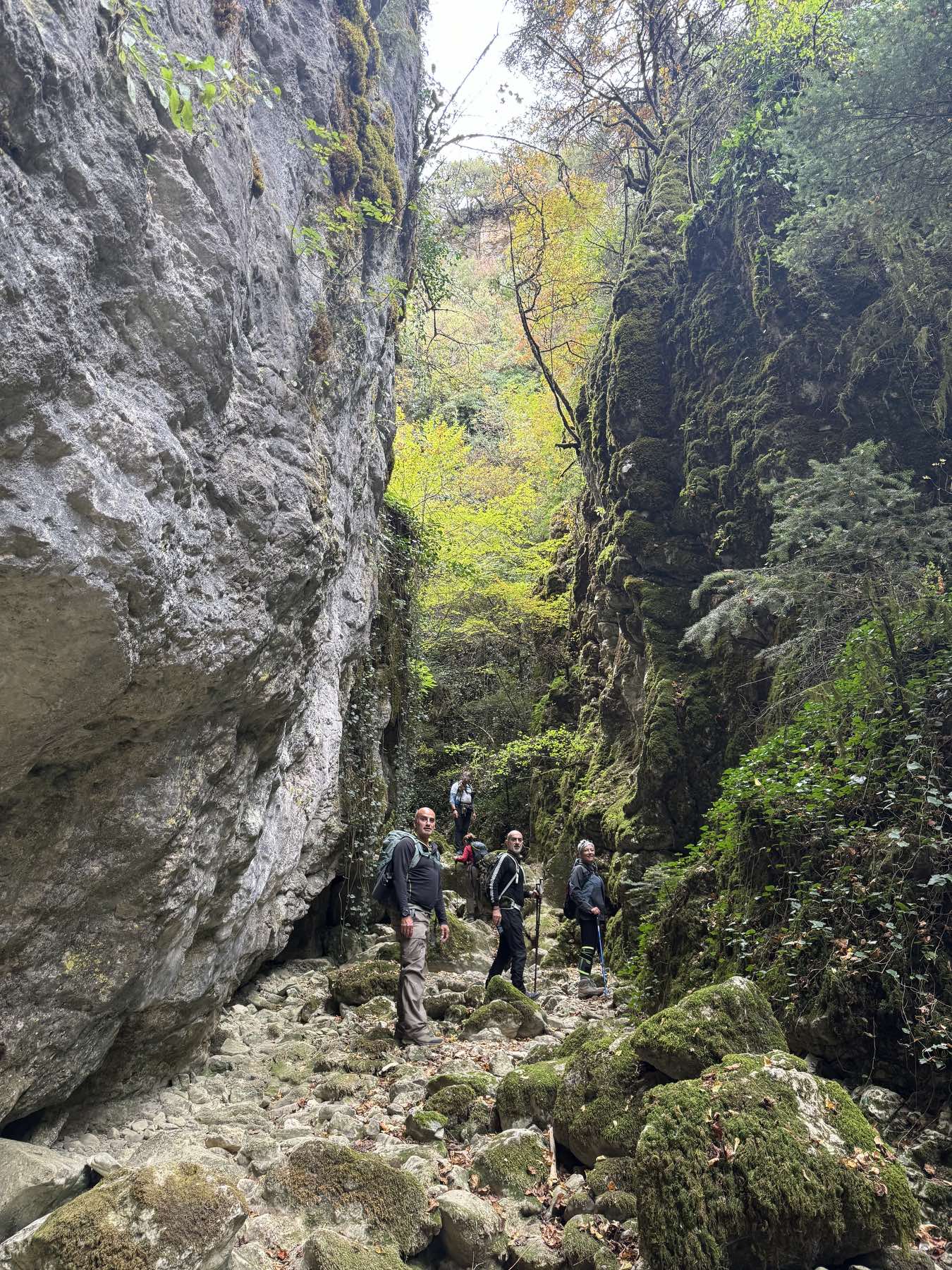 IMG-5f516ce1dc2693daaca8aa96bdc8109a-V