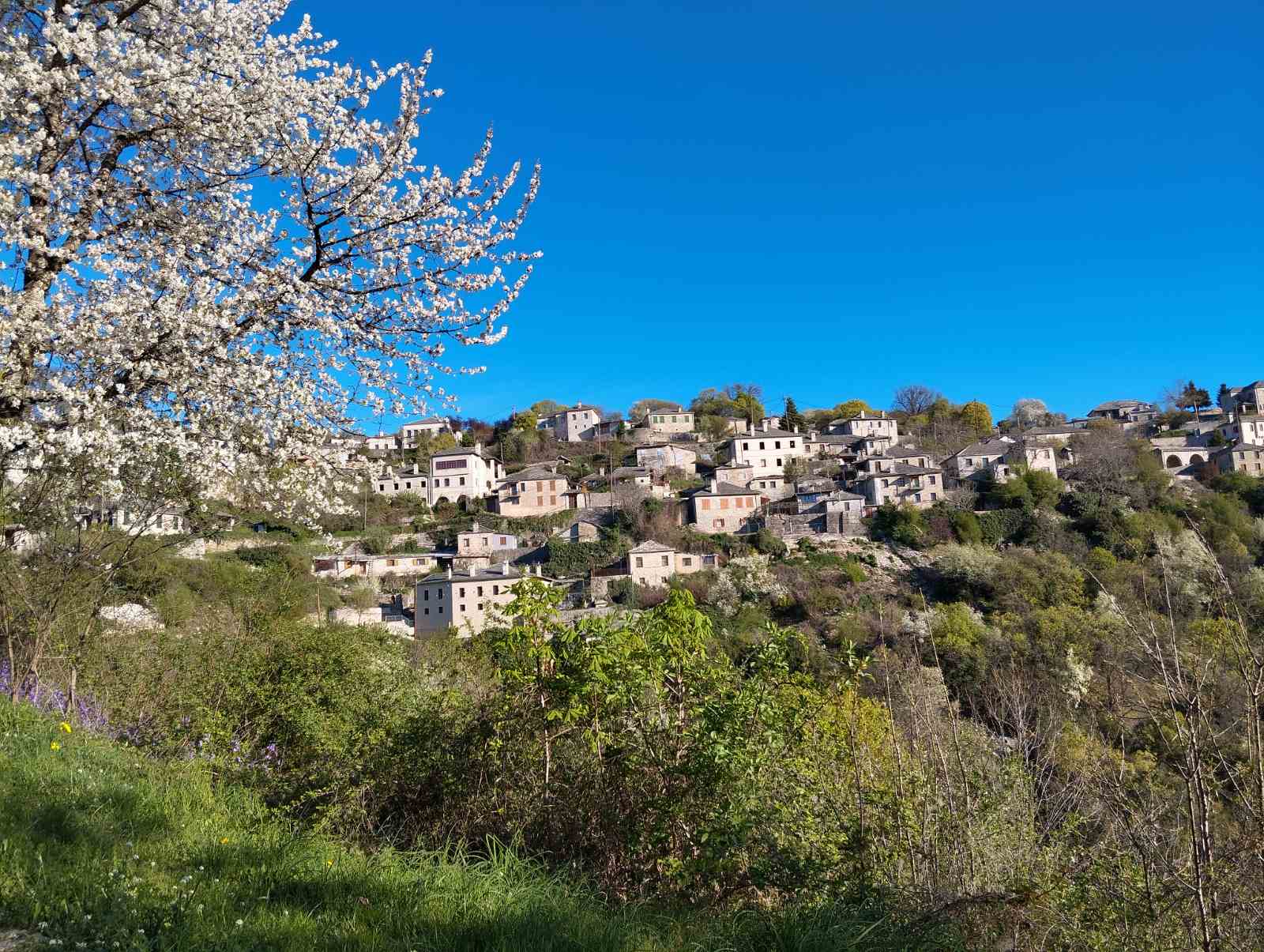 IMG-7f5cc785752591f3f64fc32e8bb97972-V