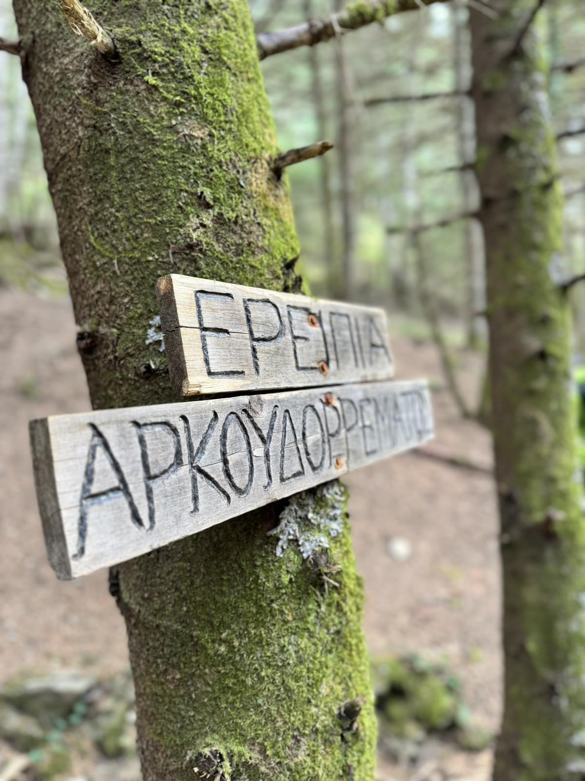 IMG-bc0ca1c488b9b2fdd0f30483383e9b0b-V