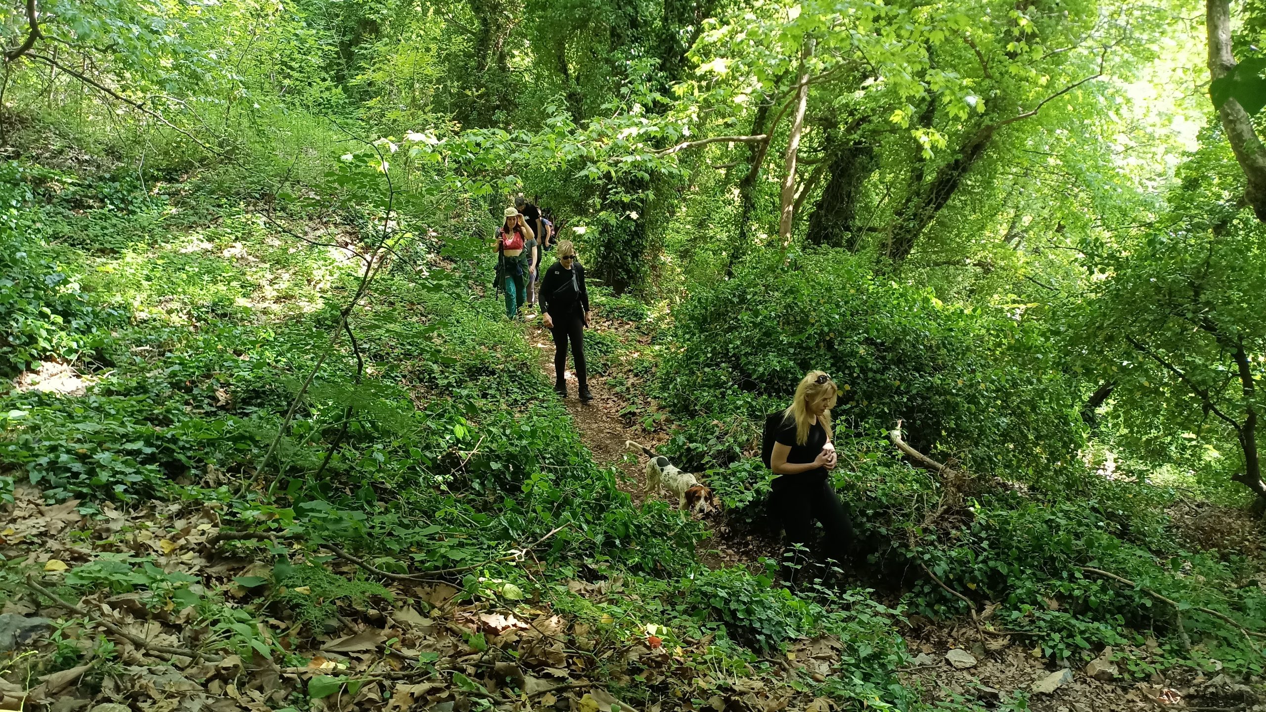 IMG_20230513_152322_519