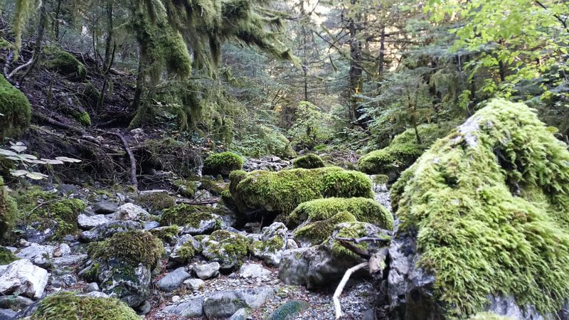 img-20231015-122142-497