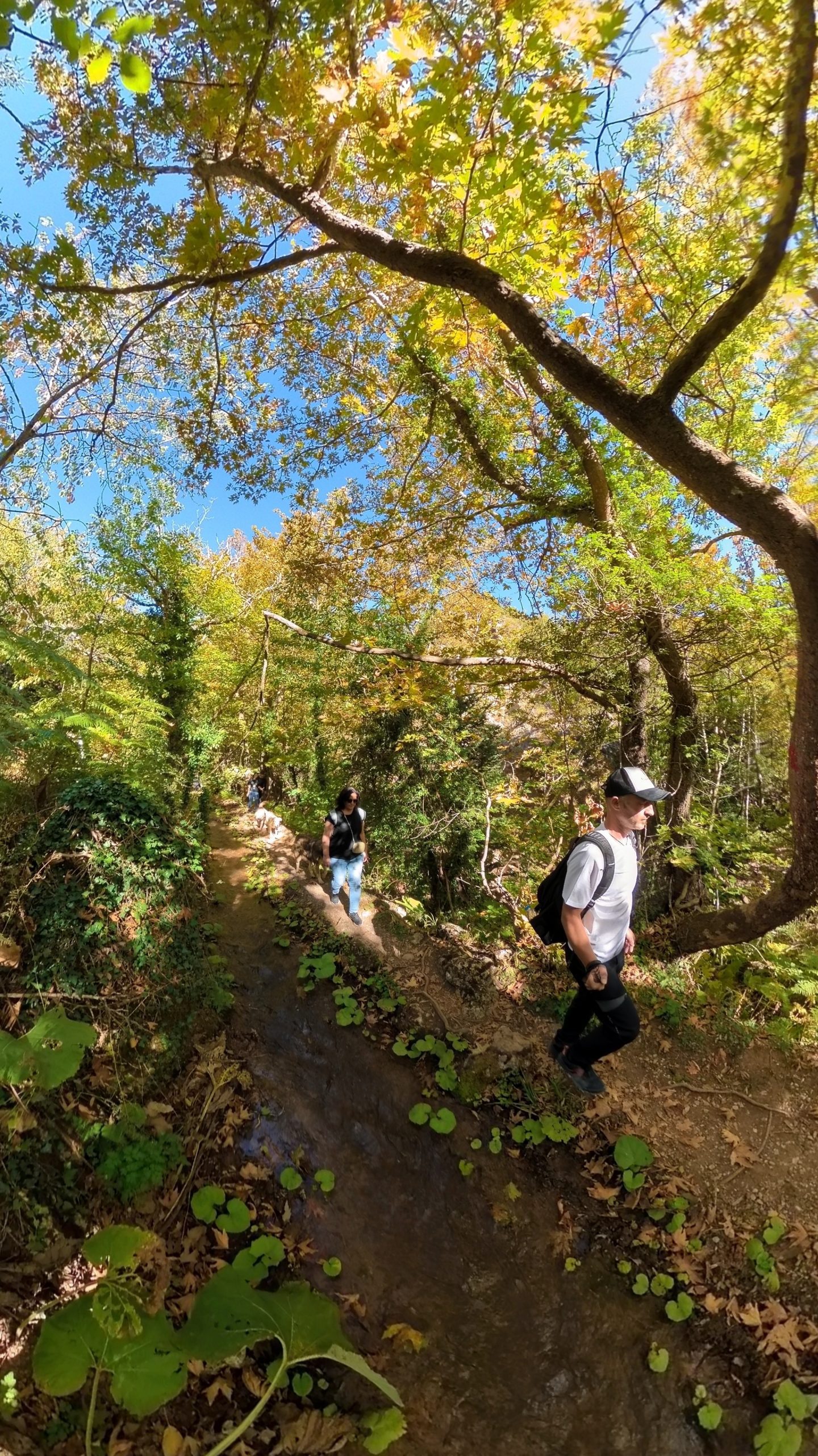 0b7b356ed8a807d984ad4ffc2307605e_-1