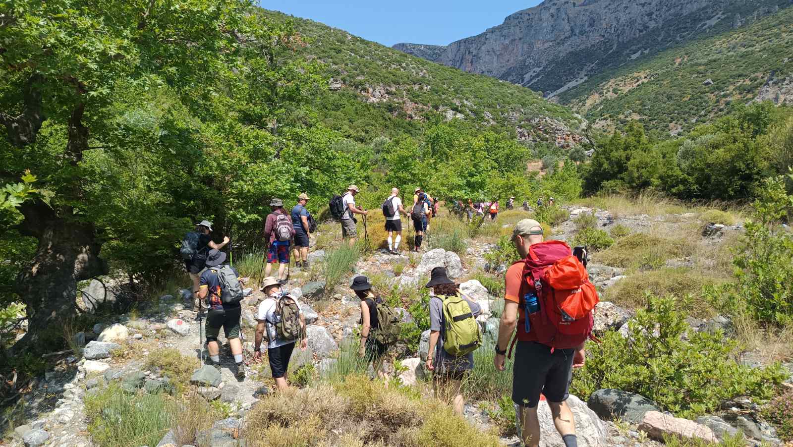 IMG-b851e1cf2b0c6225546dbae0e8a62cf3-V