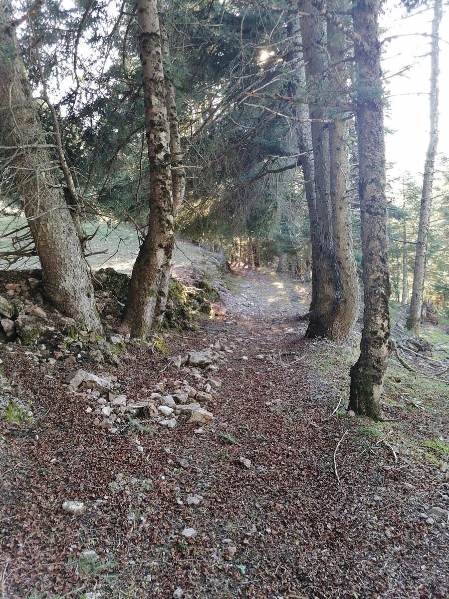 trekkers010
