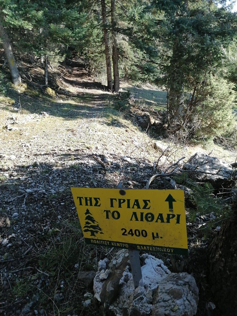 trekkers09
