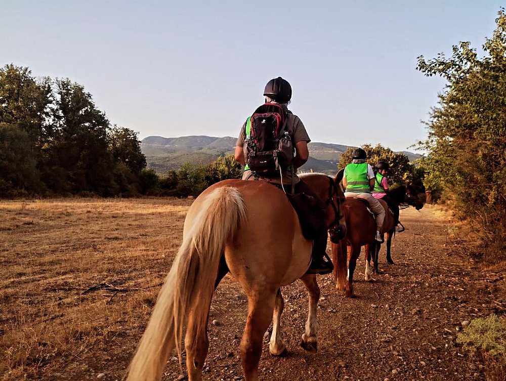 discover-arcadia-on-horseback