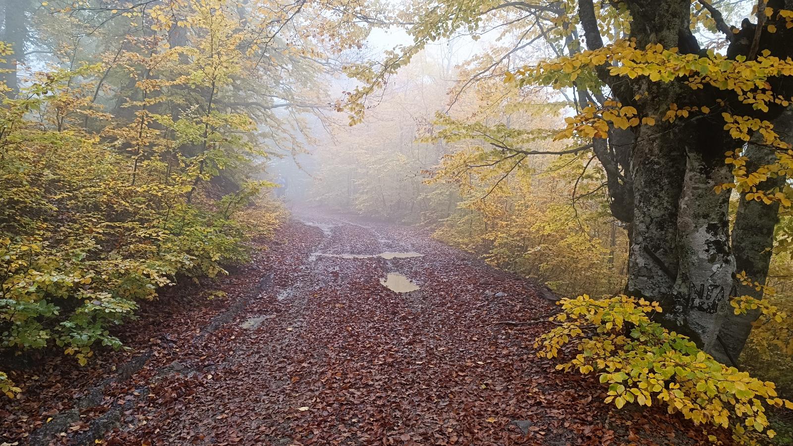 grammeni-oxia-09