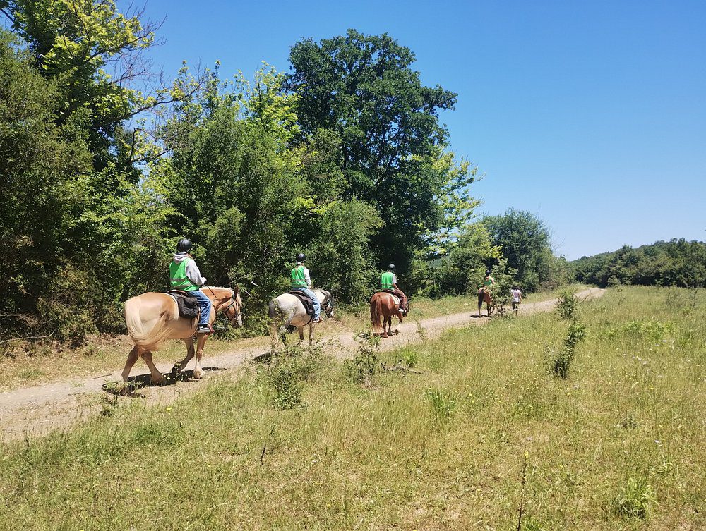 horse-trail-route-experience