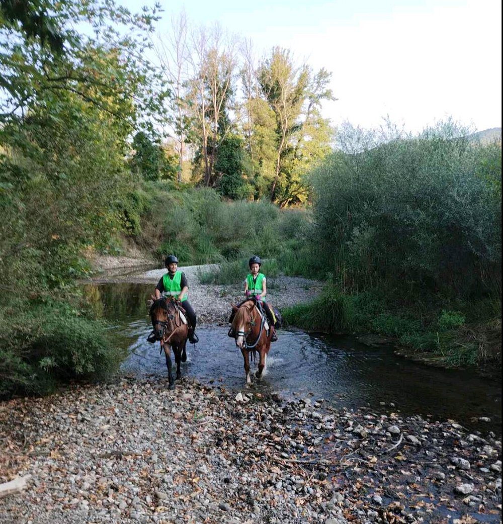 kids-adventure-at-alfeios
